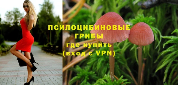 прущий лед Алексеевка